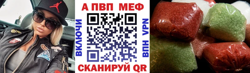 Купить  Шахунья  A PVP СК КРИС 