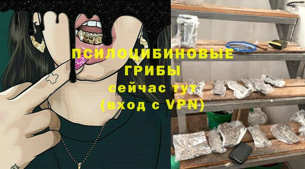 PSILOCYBIN Заволжск