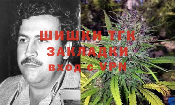 PSILOCYBIN Заволжск