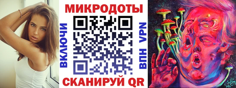 Купить  Шахунья  Псилоцибиновые грибы Psilocybine cubensis 
